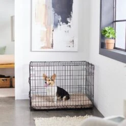 Frisco Swirl Dog Crate Mat -WoofyPlay Store 110506 PT5. AC SS1800 V1635258765