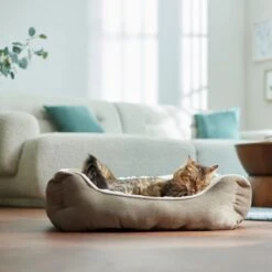 Frisco Rectangular Bolster Cat & Dog Bed 9 Frisco Rectangular Bolster Cat & Dog Bed -WoofyPlay Store 113275 PT2. AC SS1800 V1657655271