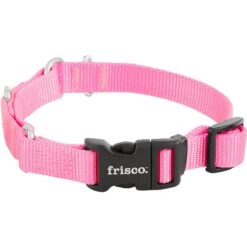 Frisco Solid Nylon Martingale Dog Collar With Buckle -WoofyPlay Store 139177 PT3. AC SS1800 V1620068872