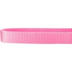 Frisco Solid Nylon Slip-On Martingale Dog Collar 8 Frisco Solid Nylon Slip-On Martingale Dog Collar -WoofyPlay Store 139181 PT3. AC SS1800 V1620069443