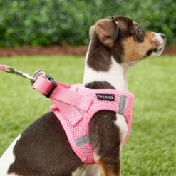 Frisco Small Breed Soft Vest Step In Back Clip Dog Harness -WoofyPlay Store 139821 PT5. AC SS1800 V1561573781