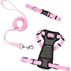 Frisco Padded Nylon No Pull Dog Harness -WoofyPlay Store 140004 PT4. AC SS1800 V1701798786