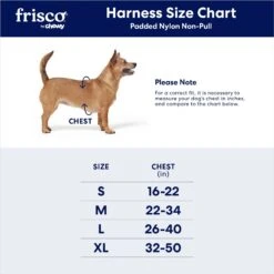 Frisco Padded Nylon No Pull Dog Harness -WoofyPlay Store 140004 PT7. AC SS1800 V1701798816