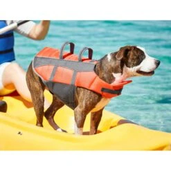 Frisco Ripstop Dog Life Jacket 16 Frisco Ripstop Dog Life Jacket -WoofyPlay Store 140919 PT7. AC SS1800 V1631051825