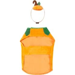 Frisco Pumpkin Dog & Cat Costume 13 Frisco Pumpkin Dog & Cat Costume -WoofyPlay Store 144446 PT4. AC SS1800 V1567176587