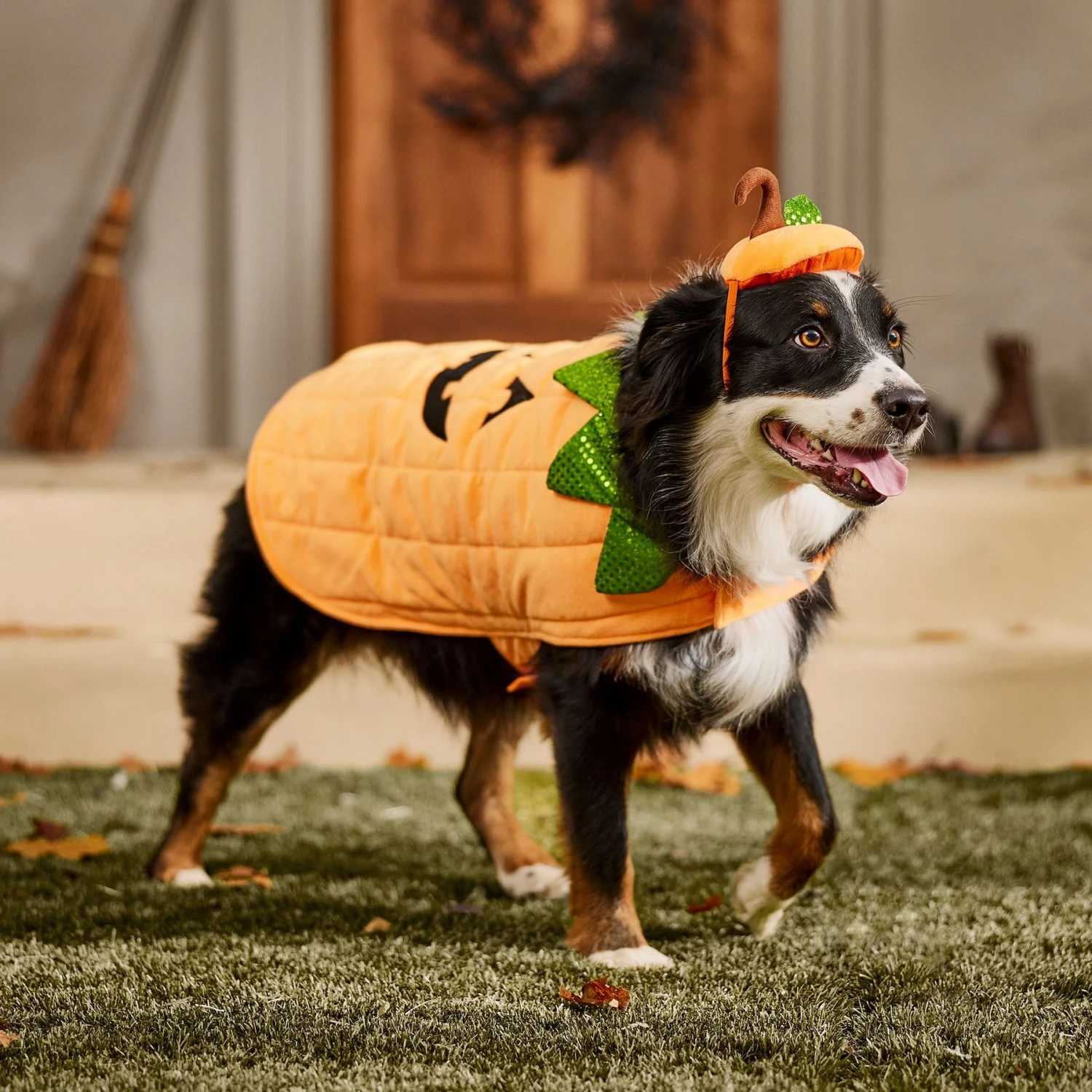 Frisco Pumpkin Dog & Cat Costume 8 Frisco Pumpkin Dog & Cat Costume - Image 8