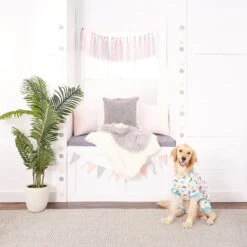 Frisco Dinosaur Print Dog & Cat Jersey PJs -WoofyPlay Store 144587 PT5. AC SS1800 V1540426489