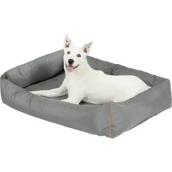 Frisco Rectangular Bolster Dog Bed W/Removable Cover, Dark Gray 8 Frisco Rectangular Bolster Dog Bed W/Removable Cover, Dark Gray -WoofyPlay Store 144865 PT4. AC SS1800 V1578443251