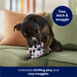 Frisco Cow Plush Squeaky Dog Toy -WoofyPlay Store 147003 PT3. AC SS1800 V1686079871