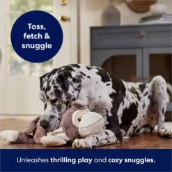 Frisco Monkey Plush Squeaky Dog Toy -WoofyPlay Store 147043 PT5. AC SS1800 V1686580080