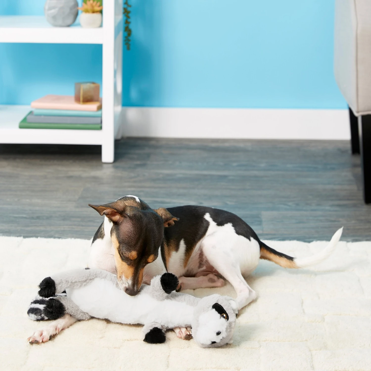 Frisco Raccoon Skinny Plush Squeaky Dog Toy 2 Frisco Raccoon Skinny Plush Squeaky Dog Toy - Image 2