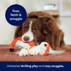 Frisco Fox Skinny Plush Squeaky Dog Toy -WoofyPlay Store 147049 PT5. AC SS1800 V1691776638