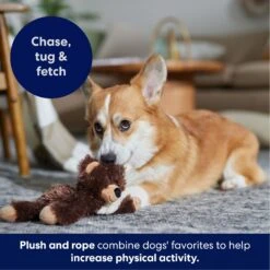 Frisco Bear Plush With Inside Rope Squeaky Dog Toy 10 Frisco Bear Plush With Inside Rope Squeaky Dog Toy -WoofyPlay Store 147061 PT4. AC SS1800 V1695659155