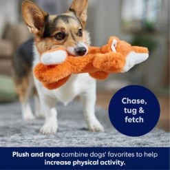 Frisco Fox Plush With Inside Rope Squeaky Dog Toy -WoofyPlay Store 147065 PT4. AC SS1800 V1695671059