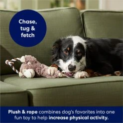 Frisco Monkey Plush With Rope Squeaky Dog Toy -WoofyPlay Store 147067 PT4. AC SS1800 V1686079871