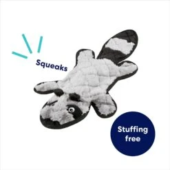 Frisco Raccoon Stuffing-Free Flat Plush Squeaky Dog Toy 8 Frisco Raccoon Stuffing-Free Flat Plush Squeaky Dog Toy -WoofyPlay Store 147071 PT2. AC SS1800 V1692826085