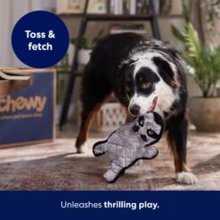 Frisco Raccoon Stuffing-Free Flat Plush Squeaky Dog Toy 10 Frisco Raccoon Stuffing-Free Flat Plush Squeaky Dog Toy -WoofyPlay Store 147071 PT5. AC SS1800 V1692989431