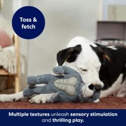 Frisco Wolf Muscle Plush Squeaky Dog Toy -WoofyPlay Store 147082 PT5. AC SS1800 V1691776574