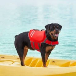 Frisco Neoprene Dog Life Jacket -WoofyPlay Store 152465 PT7. AC SS1800 V1631058734