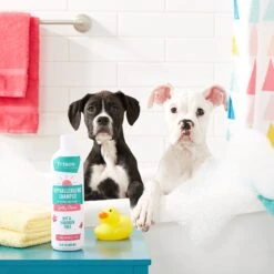 Frisco Hypoallergenic Puppy & Kitten Shampoo, Unscented -WoofyPlay Store 152571 PT2. AC SS1800 V1551302781