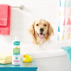 Frisco Oatmeal Dog & Cat Shampoo, Almond Scent -WoofyPlay Store 152573 PT2. AC SS1800 V1551302798