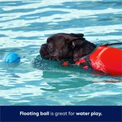 Frisco Foam Rubber Floating Fetch Ball No Squeak Dog Toy -WoofyPlay Store 152798 PT3. AC SS1800 V1686579688