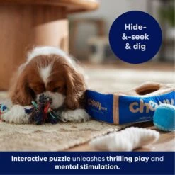 Frisco Chewy Box Hide & Seek Puzzle Plush Squeaky Dog Toy 12 Frisco Chewy Box Hide & Seek Puzzle Plush Squeaky Dog Toy -WoofyPlay Store 152808 PT5. AC SS1800 V1695670752