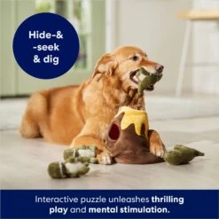 Frisco Volcano Hide & Seek Puzzle Plush Squeaky Dog Toy -WoofyPlay Store 152810 PT3. AC SS1800 V1686079871