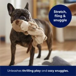 Frisco Beaver Bungee Plush Squeaky Dog Toy -WoofyPlay Store 152824 PT5. AC SS1800 V1686580146