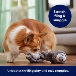 Frisco Sloth Bungee Plush Squeaky Dog Toy -WoofyPlay Store 152826 PT5. AC SS1800 V1686579214