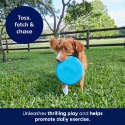 Frisco Fetch Rubber Flyer Dog Toy -WoofyPlay Store 152848 PT5. AC SS1800 V1692370079