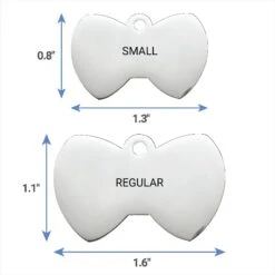 Frisco Stainless Steel Personalized Dog & Cat ID Tag, Bow Tie -WoofyPlay Store 152997 PT6. AC SS1800 V1540562105