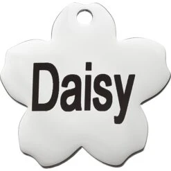 Frisco Stainless Steel Personalized Dog & Cat ID Tag, Flower -WoofyPlay Store 153002 PT2. AC SS1800 V1548964685