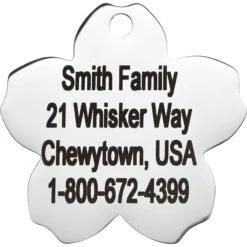 Frisco Stainless Steel Personalized Dog & Cat ID Tag, Flower -WoofyPlay Store 153002 PT3. AC SS1800 V1548964703