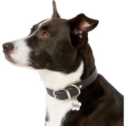 Frisco Stainless Steel Personalized Dog & Cat ID Tag, Flower -WoofyPlay Store 153002 PT5. AC SS1800 V1540562264