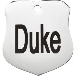 Frisco Stainless Steel Personalized Dog & Cat ID Tag, Badge -WoofyPlay Store 153009 PT2. AC SS1800 V1548964780