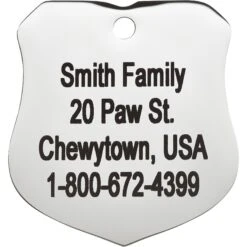 Frisco Stainless Steel Personalized Dog & Cat ID Tag, Badge -WoofyPlay Store 153009 PT3. AC SS1800 V1548964788