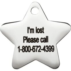 Frisco Stainless Steel Personalized Dog & Cat ID Tag, Star 11 Frisco Stainless Steel Personalized Dog & Cat ID Tag, Star -WoofyPlay Store 153017 PT4. AC SS1800 V1548964862
