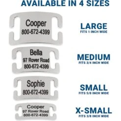 Frisco Stainless Steel Slide-On Personalized Dog & Cat Tag, Open Design -WoofyPlay Store 153050 PT3. AC SS1800 V1644013293