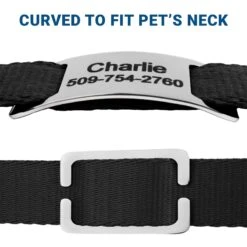 Frisco Stainless Steel Slide-On Personalized Dog & Cat Tag, Open Design -WoofyPlay Store 153050 PT4. AC SS1800 V1644016599