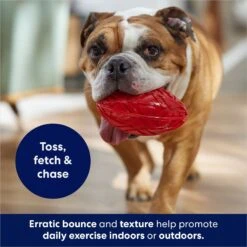 Frisco Football TPR Squeaky Dog Toy 8 Frisco Football TPR Squeaky Dog Toy -WoofyPlay Store 154412 PT3. AC SS1800 V1686578718