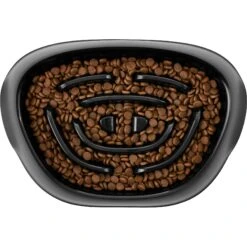 Frisco Non-Skid Slow Feeder Dog & Small Pet Bowl -WoofyPlay Store 155648 PT2. AC SS1800 V1553539021