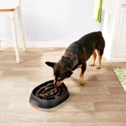 Frisco Non-Skid Slow Feeder Dog & Small Pet Bowl -WoofyPlay Store 155648 PT4. AC SS1800 V1553538724