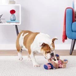 Frisco American Flag Bear Plush Squeaky Dog Toy -WoofyPlay Store 157187 PT2. AC SS1800 V1559764047