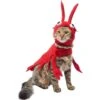 Frisco Red Lobster Dog & Cat Costume