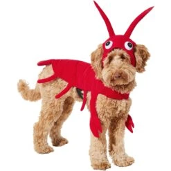 Frisco Red Lobster Dog & Cat Costume -WoofyPlay Store 158723 PT2. AC SS1800 V1659023725
