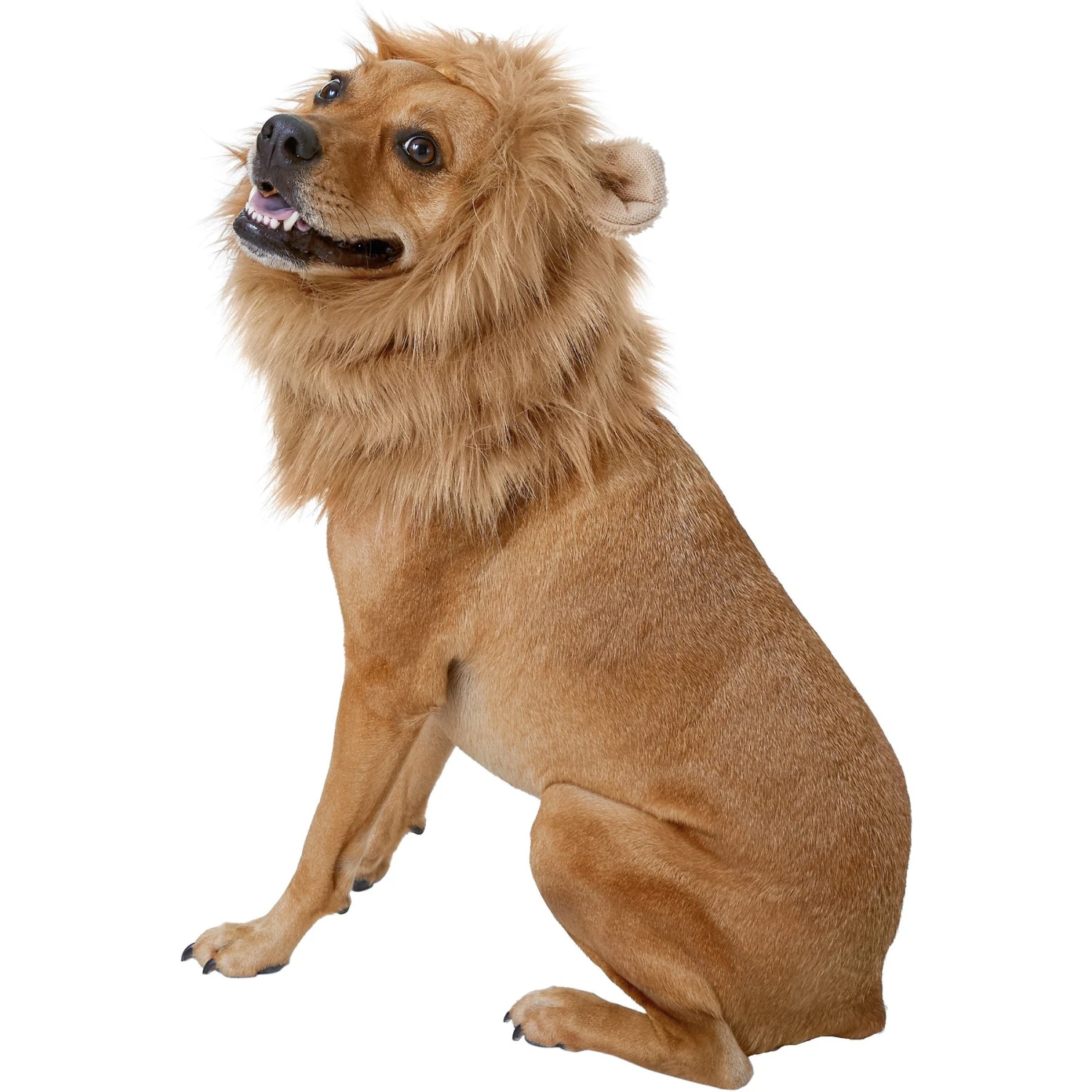 Frisco Lion Mane Dog & Cat Costume 1 Frisco Lion Mane Dog & Cat Costume