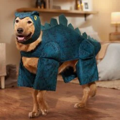 Frisco Stegosaurus Dinosaur Dog & Cat Costume 16 Frisco Stegosaurus Dinosaur Dog & Cat Costume -WoofyPlay Store 158777 PT7. AC SS1800 V1567180627