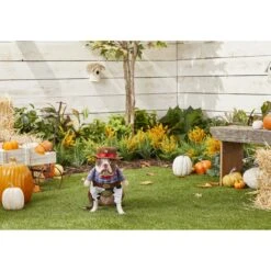 Frisco Front Walking Cowboy Dog & Cat Costume -WoofyPlay Store 158842 PT3. AC SS1800 V1567176047