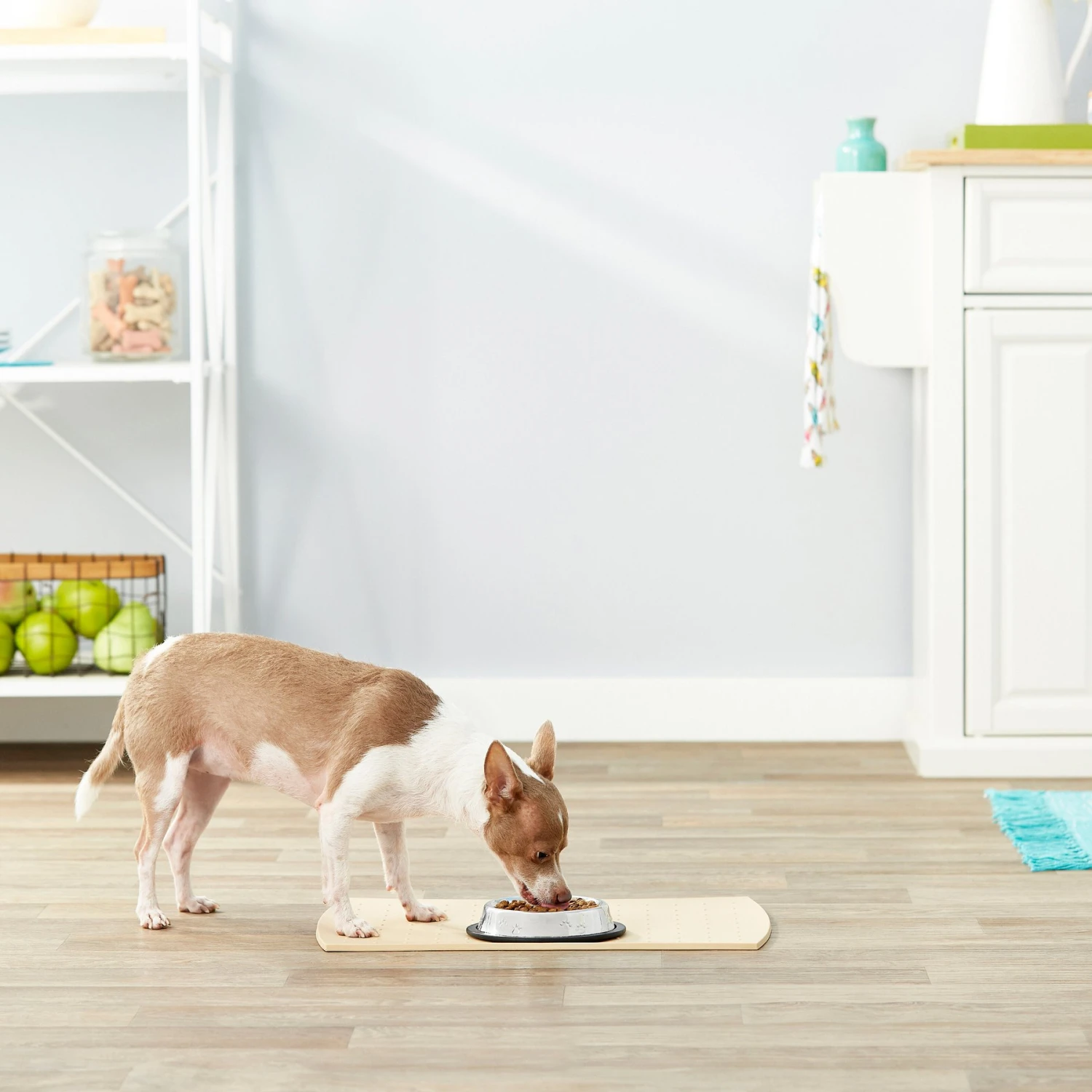 Frisco Non-Skid Stainless Steel Bowl 3 Frisco Non-Skid Stainless Steel Bowl - Image 3